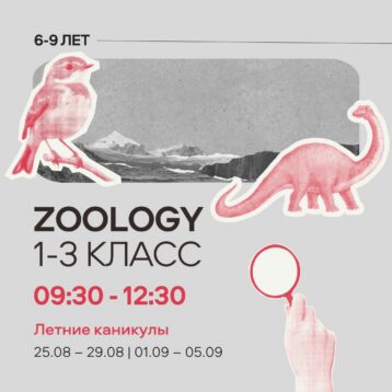 Sommercamp 2025 ZOOLOGY : Gruppe 6-9